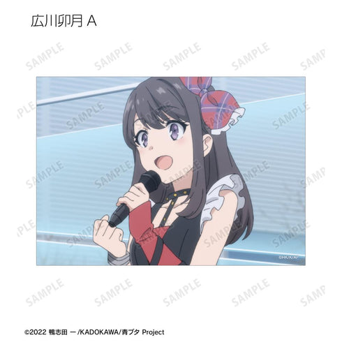 『青春ブタ野郎はおでかけシスターの夢を見ない』トレーディング場面写ブロマイド(単位/BOX)【202509再販】